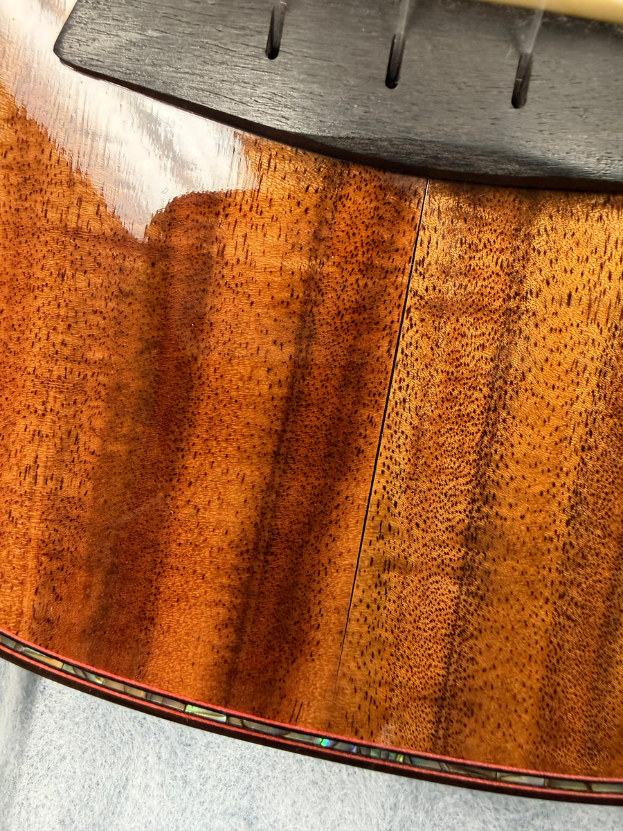 Tiny Boy Spalted Maple 4 String Solid Body Bass w/Case - TBJ Tiny Boy Spalted Maple 4 String Solid Body Bass w/Case - TBJ