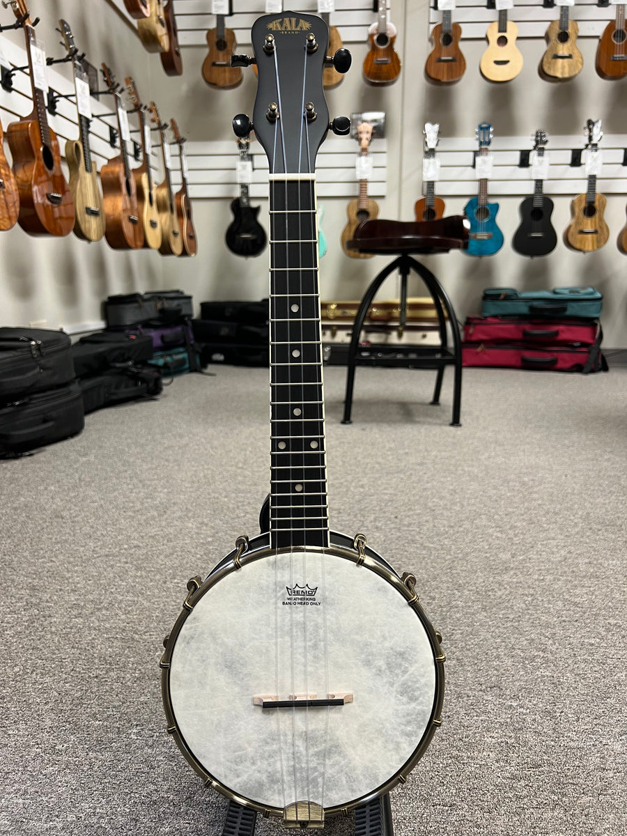 Kala concert banjo deals ukulele