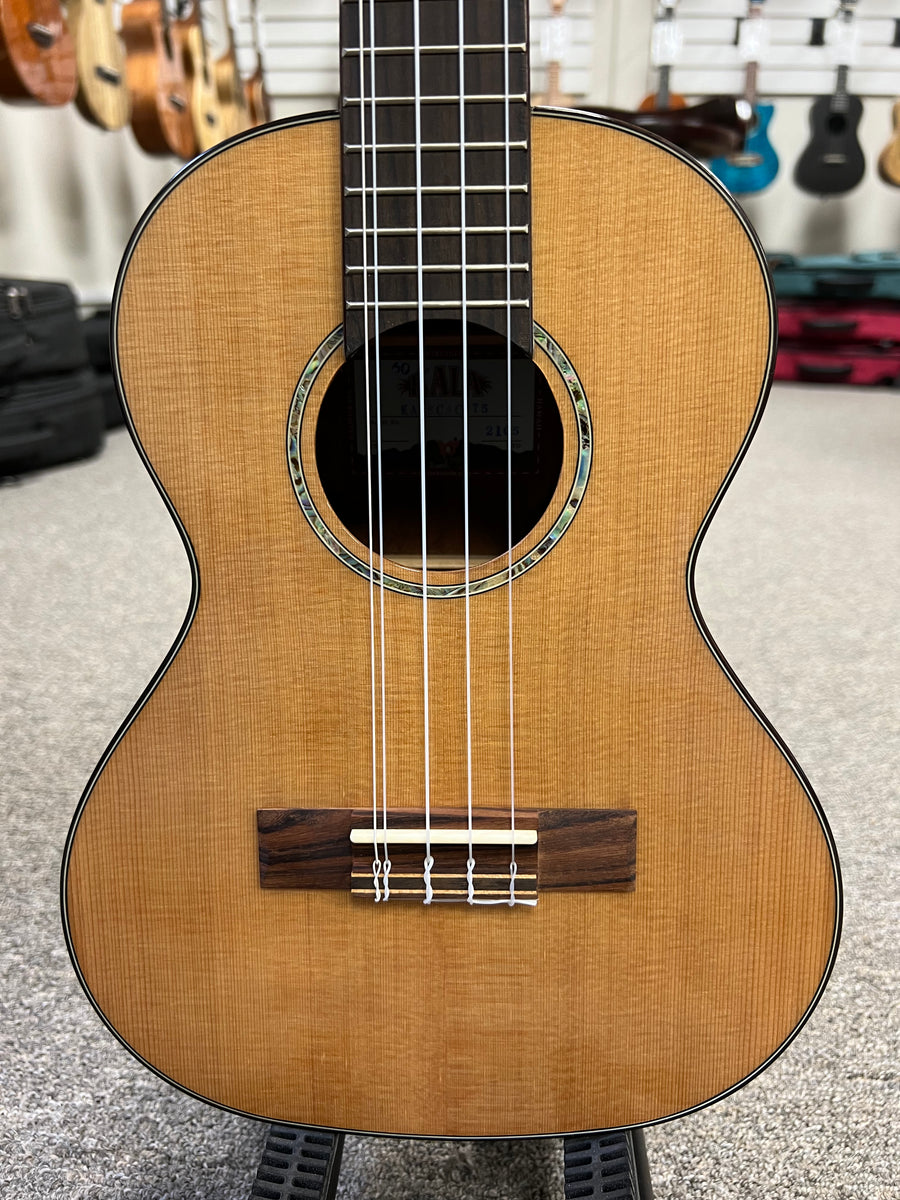 Best 5 deals string ukulele