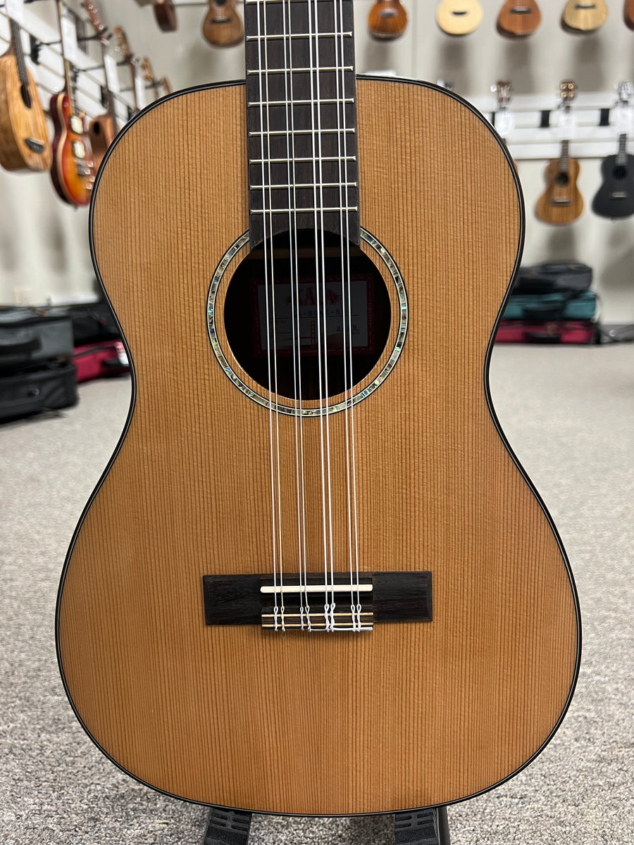 Baritone 8 string ukulele deals