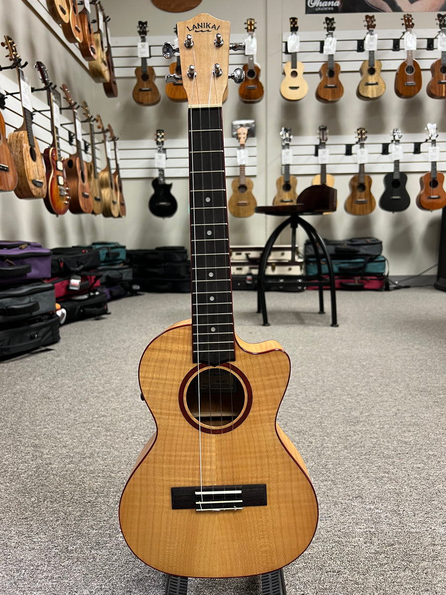 鬼レア　Meridian Guitars / Fank-u-later 鬼レア Meridian Guitars / Fank-u-later