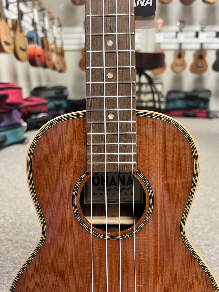 その他 OHANA Pineapples 25G Series - Ohana Music