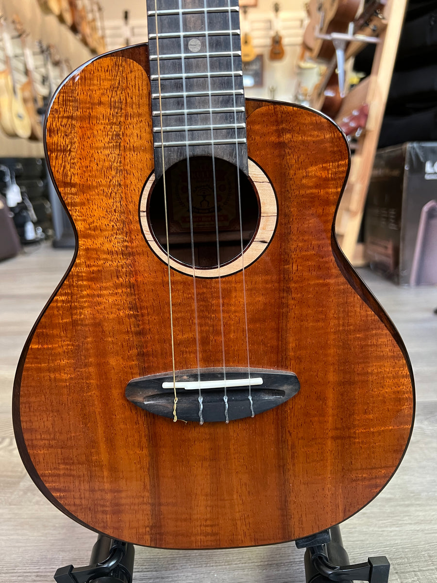 aNueNue UC3K Solid Koa Concert Ukulele w/Case - Koa Bird Series