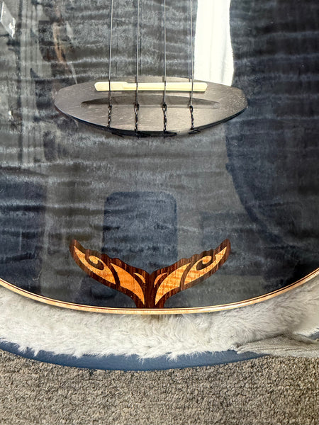 aNueNue Black Whale Solid Cedar/Maple/Rosewood Tenor Ukulele w/Case