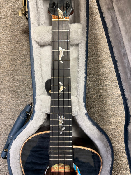 aNueNue Black Whale Solid Cedar/Maple/Rosewood Tenor Ukulele w/Case