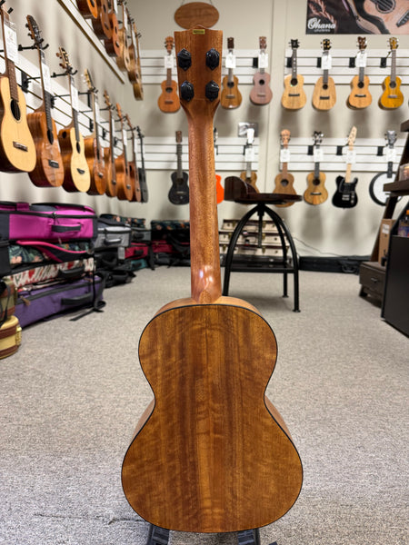 KALA KA-CM-T Curly Mango Tenor Ukulele