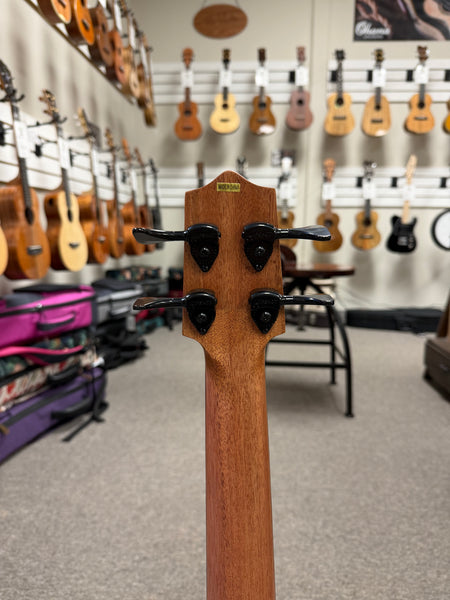 KALA EBY-FL Striped Ebony Fretless Acoustic-Electric U-Bass w/Case - UBASS