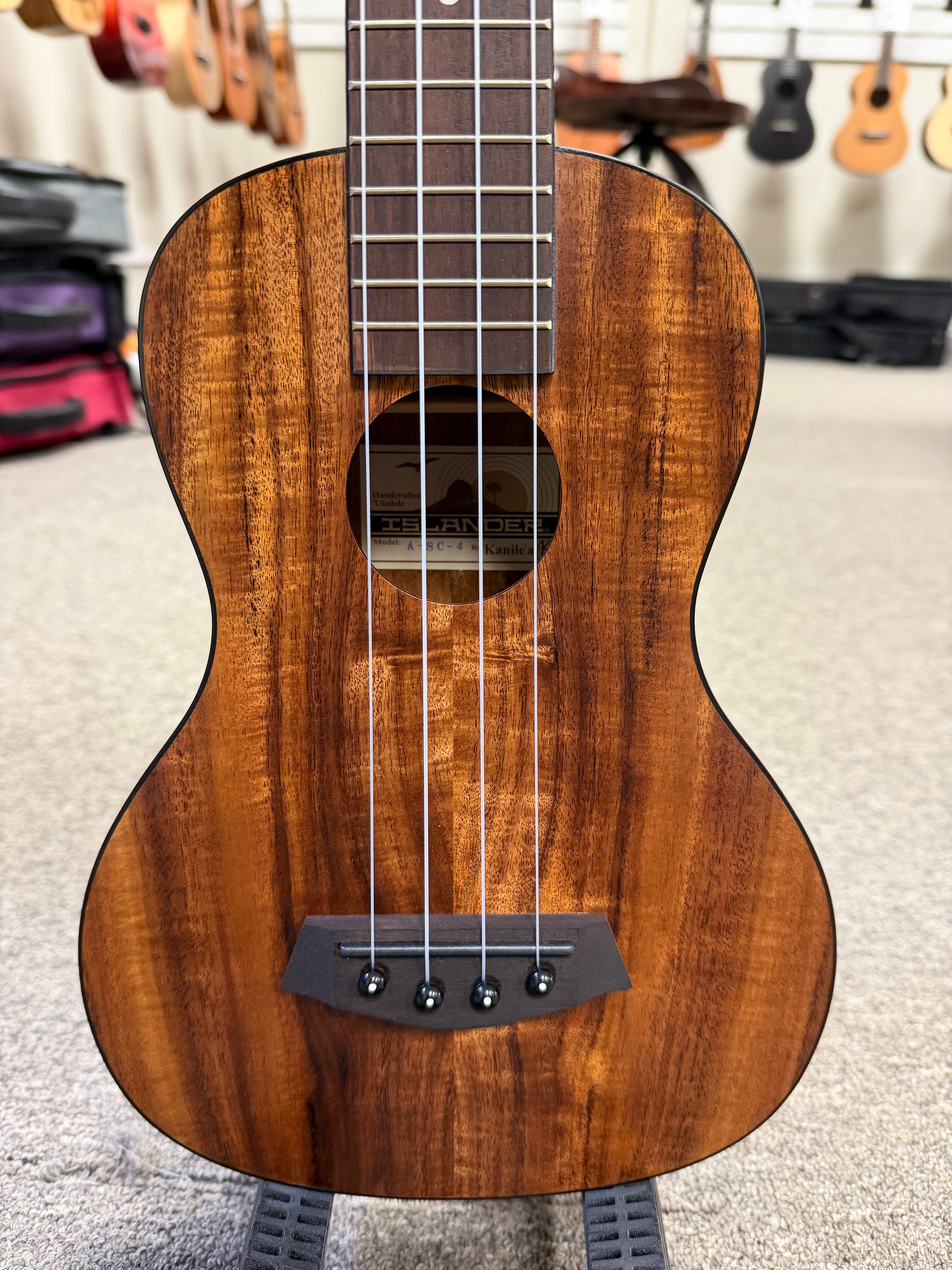 ロングボード UKULELE Bertrand's Ukulele Concert SELLER! BEST - Rentals Online Music サーフィン・ボディボード