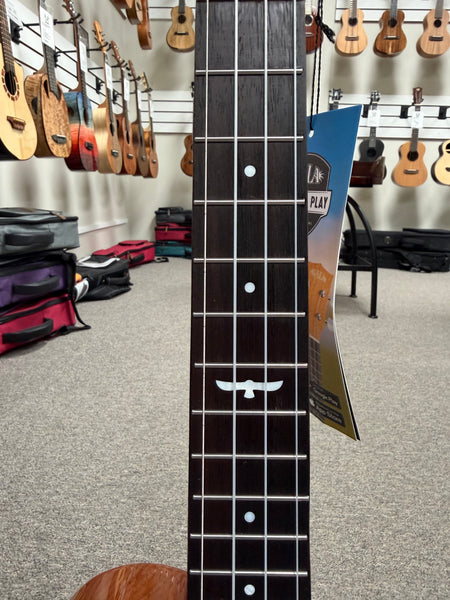 KALA Night Owl Acacia Revelator Electric Tenor Ukulele w/Case - B Stock #1