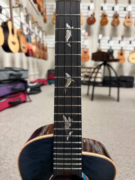 aNueNue Black Whale Solid Cedar/Maple/Rosewood Tenor Ukulele w/Case