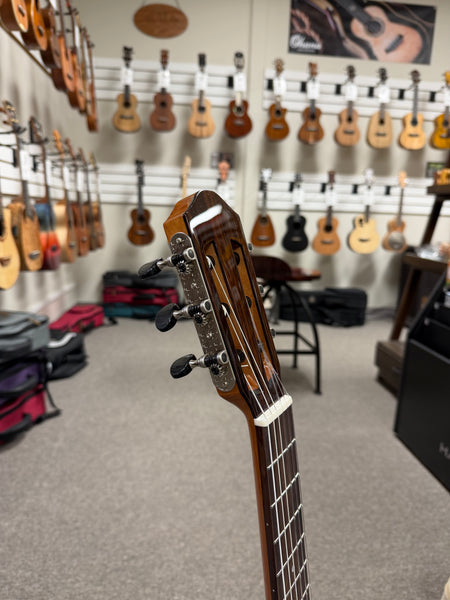 aNueNue Nino 520SB Solid Spruce/Mahogany 6 String Baritone Ukulele/Mini Guitar w/Case - Summer Blue