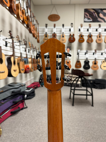 aNueNue Nino 520SB Solid Spruce/Mahogany 6 String Baritone Ukulele/Mini Guitar w/Case - Summer Blue