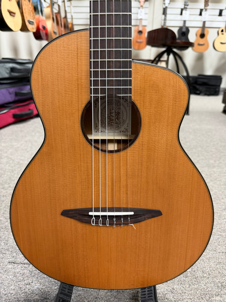 aNueNue Nino 520AC Solid Cedar/Mahogany 6 String Baritone Ukulele/Mini Guitar w/Case