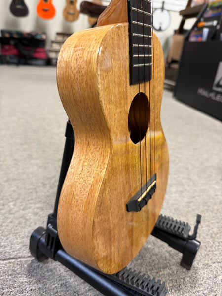 Rebel Creme Brulee Solid Mango Concert Ukulele w/Case - Pre Loved