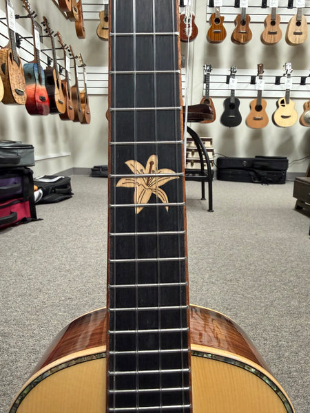 SNAIL BHC-5T Solid Spruce/Ebony Tenor Ukulele w/Case