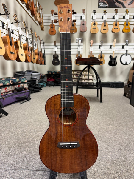 Kala KA-POI-ACA-T Luthier Series Solid Acacia Poi Tenor w/Case - Poi Pounder