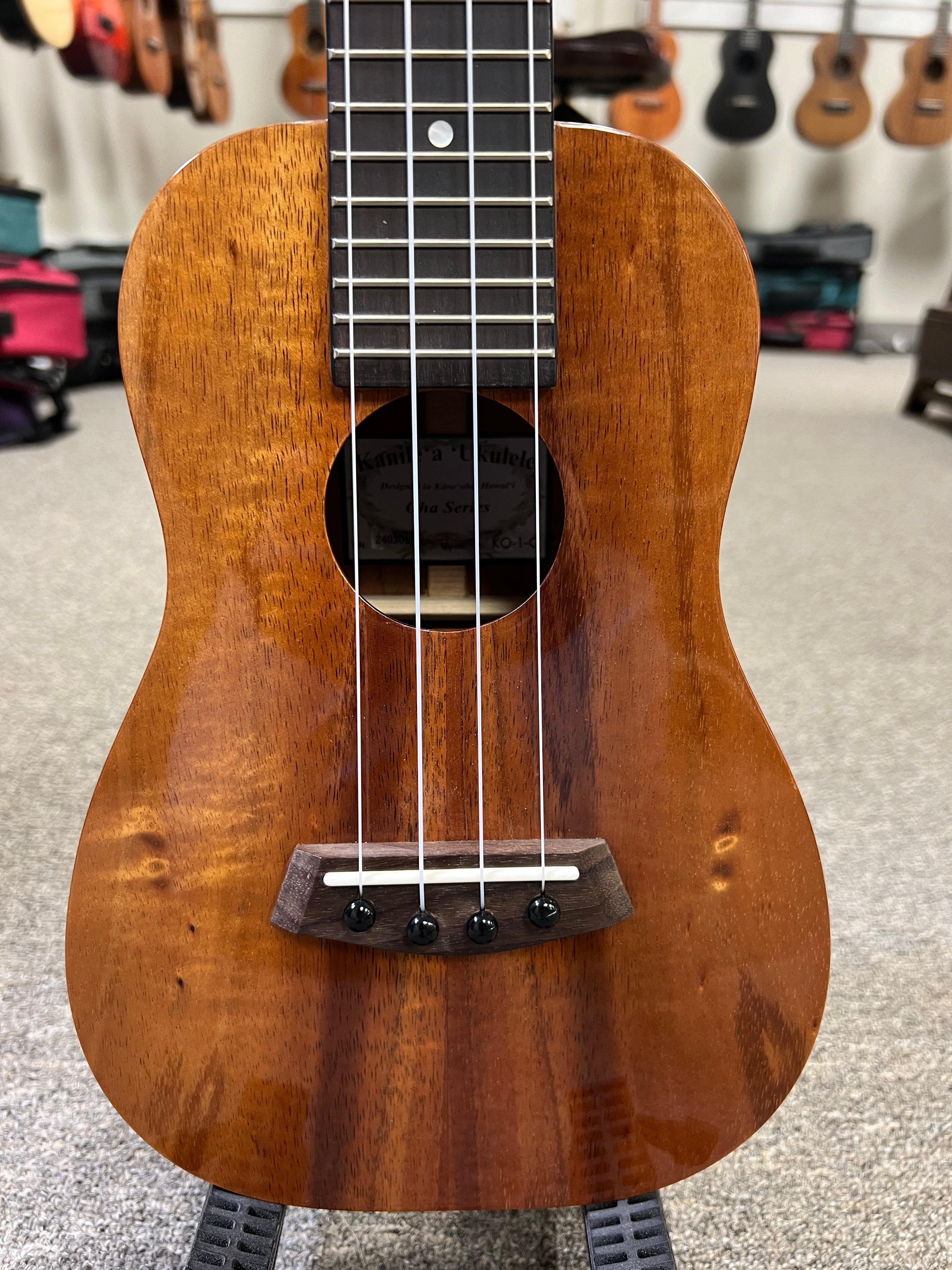 バイオガイヤ Kanile'a KO-1-C Oha Koa Concert Ukulele w/Case