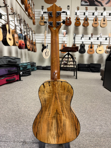 KUMU CM-68 Spalted Mango Concert Ukulele #1 - Matte Finish