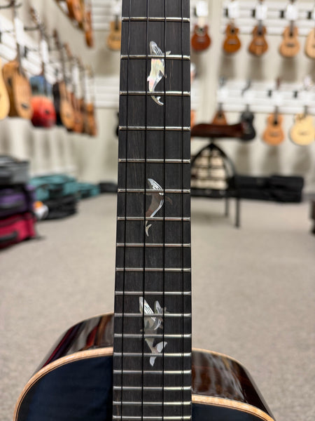 aNueNue Black Whale Solid Cedar/Maple/Rosewood Tenor Ukulele w/Case