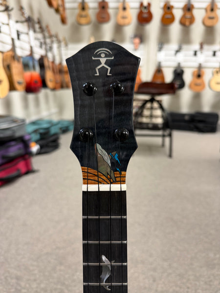 aNueNue Black Whale Solid Cedar/Maple/Rosewood Tenor Ukulele w/Case