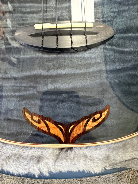 aNueNue Black Whale Solid Cedar/Maple/Rosewood Tenor Ukulele w/Case