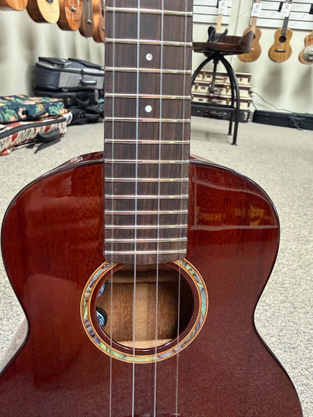 aNueNue AMM-2E Solid Mahogany Electric Concert Ukulele w/Case