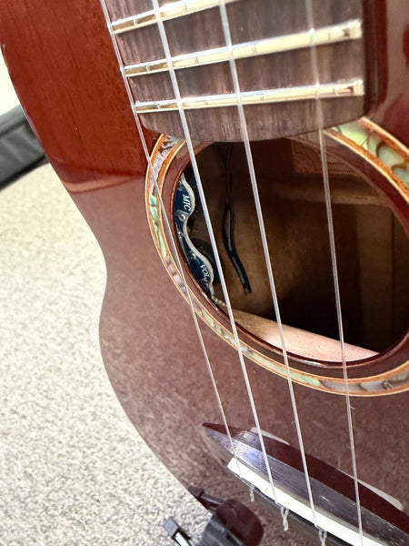 aNueNue AMM-2E Solid Mahogany Electric Concert Ukulele w/Case