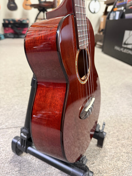 aNueNue AMM-2E Solid Mahogany Electric Concert Ukulele w/Case
