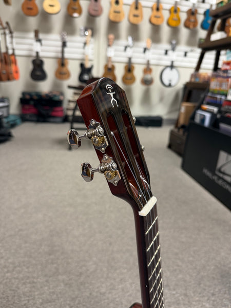 aNueNue AMM-2E Solid Mahogany Electric Concert Ukulele w/Case
