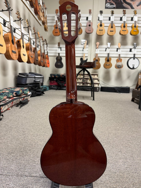 aNueNue AMM-2E Solid Mahogany Electric Concert Ukulele w/Case