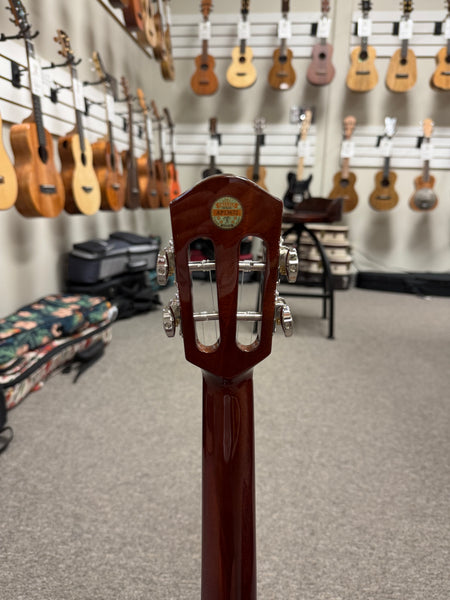 aNueNue AMM-2E Solid Mahogany Electric Concert Ukulele w/Case