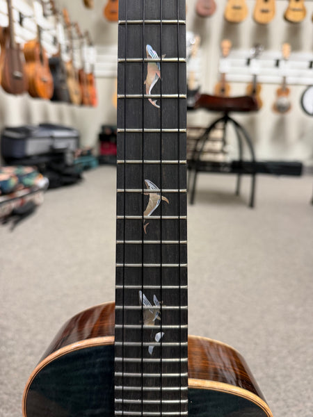 aNueNue Black Whale Solid Cedar/Maple/Rosewood Tenor Ukulele w/Case
