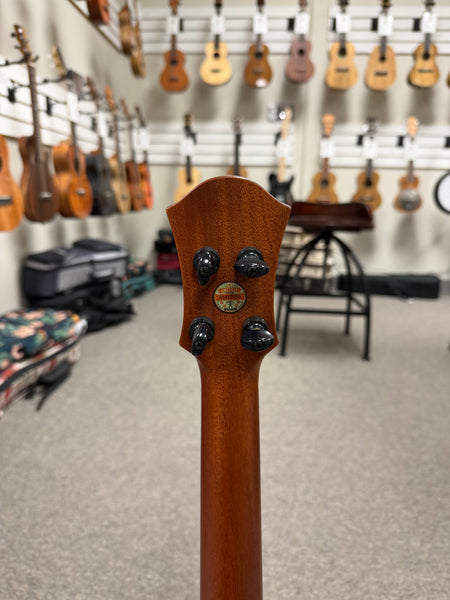 aNueNue Black Whale Solid Cedar/Maple/Rosewood Tenor Ukulele w/Case