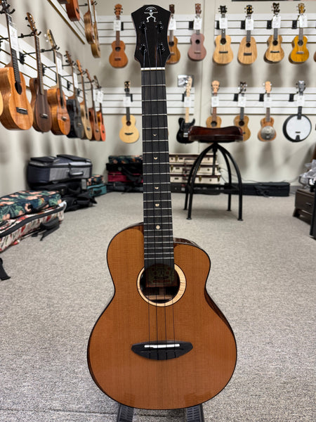 aNueNue UT-214E Cedar Bird Electric Tenor Ukulele w/Case - Solid Cedar/Rosewood