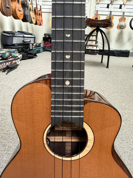 aNueNue UT-214E Cedar Bird Electric Tenor Ukulele w/Case - Solid Cedar/Rosewood