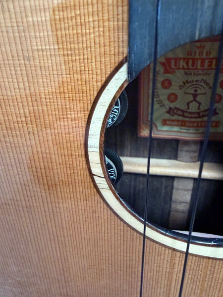 aNueNue UT-214E Cedar Bird Electric Tenor Ukulele w/Case - Solid Cedar/Rosewood