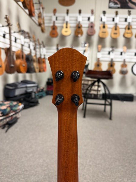 aNueNue UT-214E Cedar Bird Electric Tenor Ukulele w/Case - Solid Cedar/Rosewood