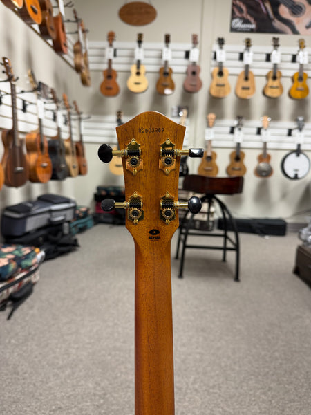 Flight Maia Solid Mango/Rosewood Steel String Electric Baritone Ukulele w/Case - #1