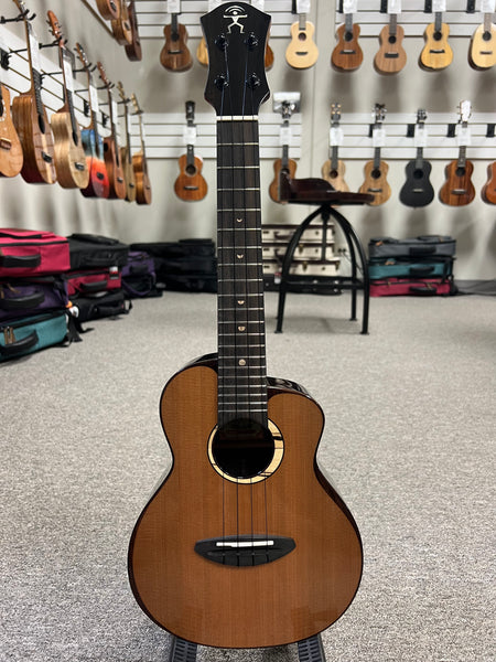 aNueNue UC-214 Cedar Bird Concert Ukulele w/Case - Cedar/Rosewood