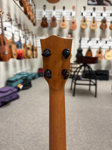 Oli L2-TMG-BK Black Solid Mango Tenor Ukulele w/Case