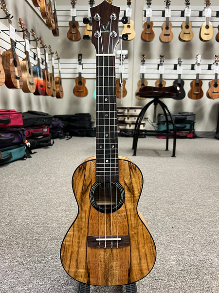 KUMU CM-68 Spalted Mango Concert Ukulele - Matte Finish