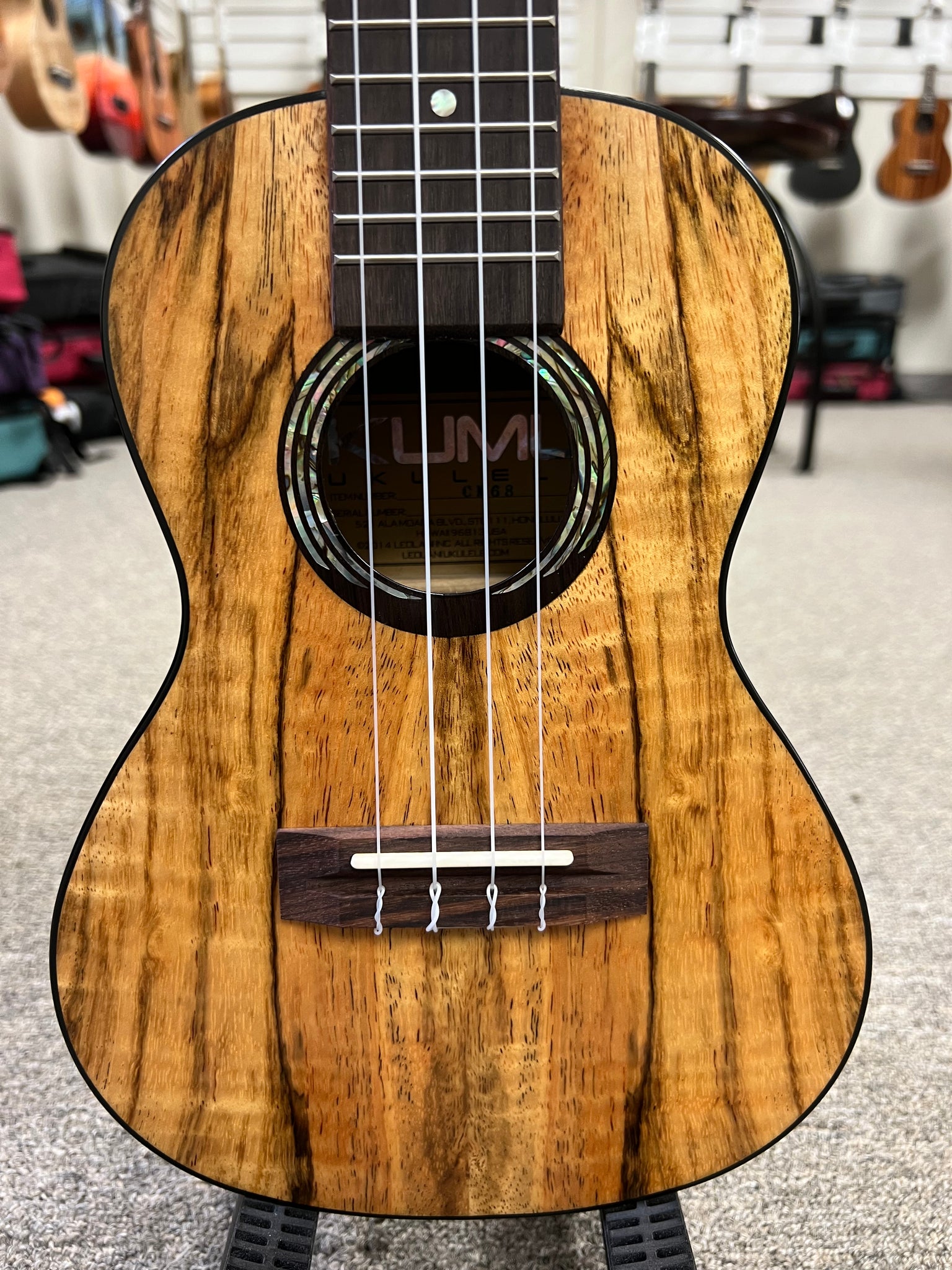 KUMU CM-68 Spalted Mango Concert Ukulele - Matte Finish