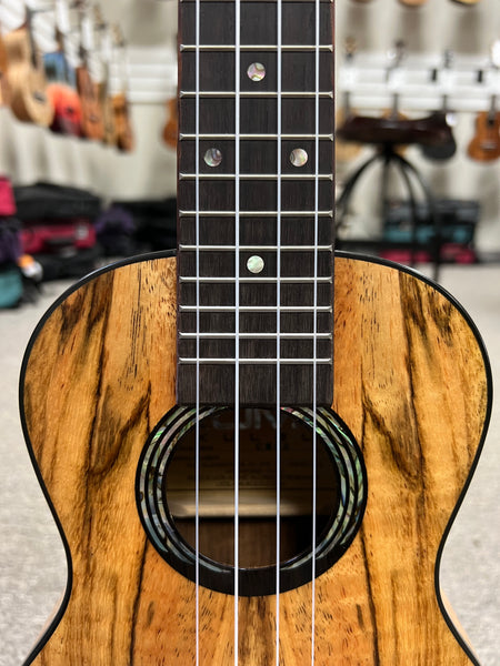 KUMU CM-68 Spalted Mango Concert Ukulele - Matte Finish