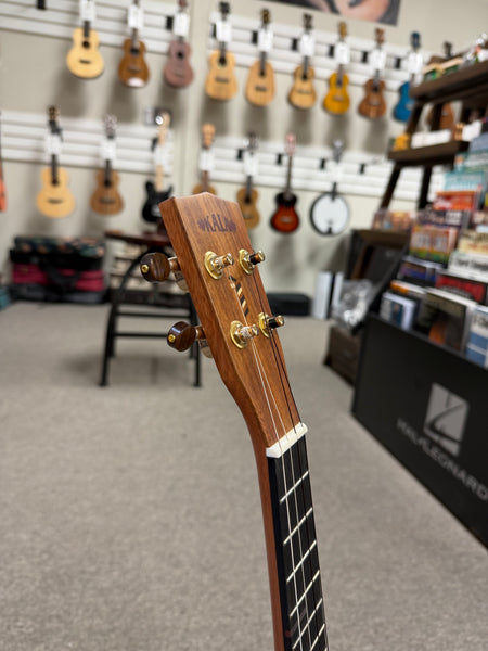KALA KA-3CD-ACA-T Solid Acacia Three Cord Tenor Ukulele w/Case