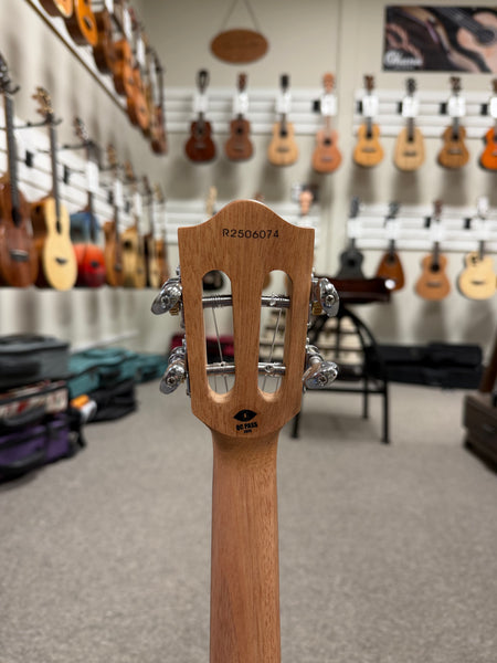 Flight TDB Solid Mahogany Iris Tinta Concert Ukulele w/Case - Transparent Blue