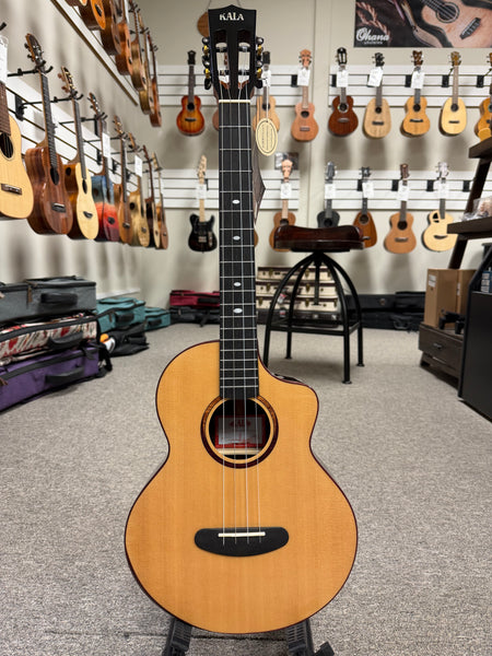 KALA KA-CT-SSRW-BG Solid Spruce/Rosewood Baritone Ukulele w/Case - Contour Series