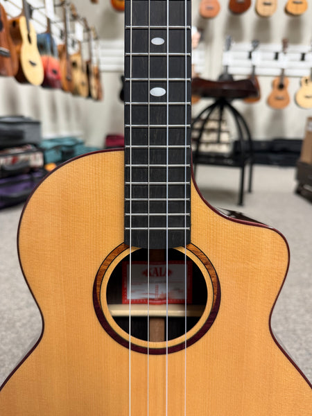 KALA KA-CT-SSRW-BG Solid Spruce/Rosewood Baritone Ukulele w/Case - Contour Series