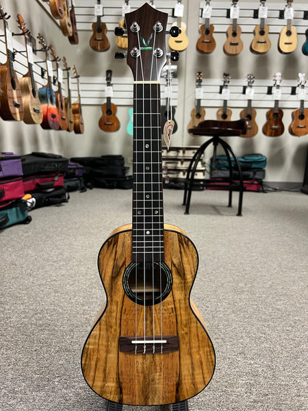 KUMU CM-68 Spalted Mango Concert Ukulele - Matte Finish