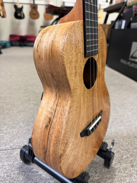 Rebel Double Creme Solid Mango Tenor Ukulele w/Case - Matte Finish