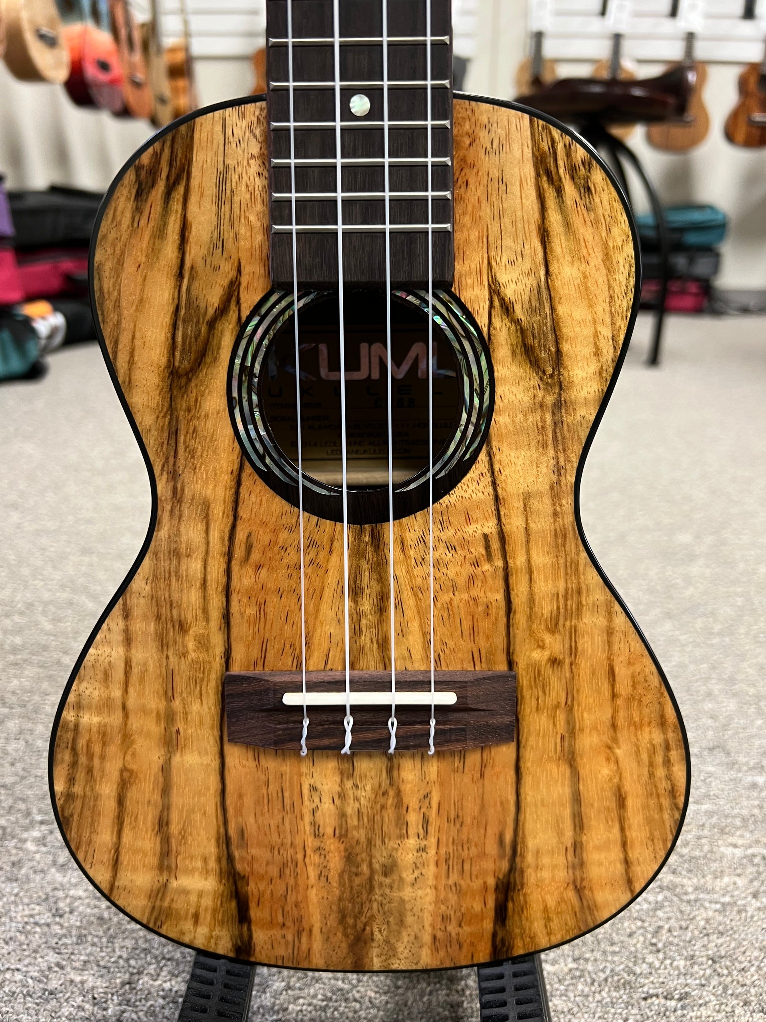 KUMU CM-68 Spalted Mango Concert Ukulele - Matte Finish